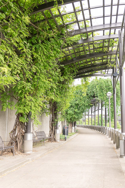 Green Leaf Archway at the Scioto Mile